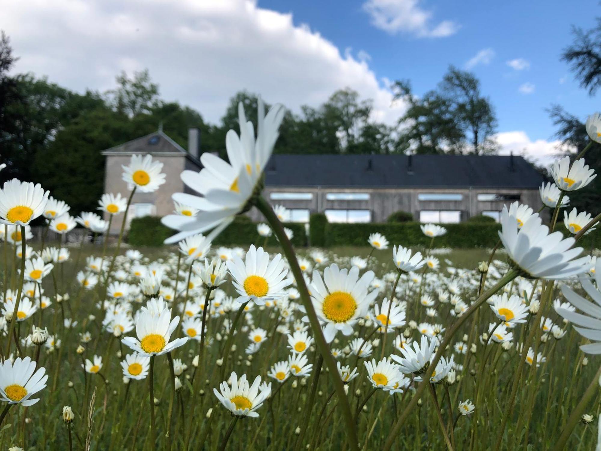 Domaine De L'Ardoisiere Villa Alle Eksteriør billede