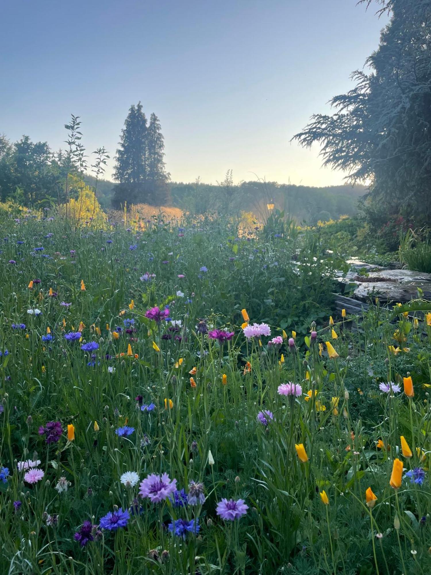 Domaine De L'Ardoisiere Villa Alle Eksteriør billede