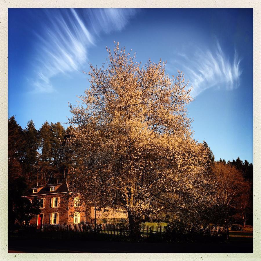 Domaine De L'Ardoisiere Villa Alle Eksteriør billede